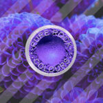 Μεταλλική Σκόνη Mica – Virtuous Violet – 5gr