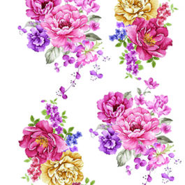 Ριζόχαρτο Α4 2100231-2